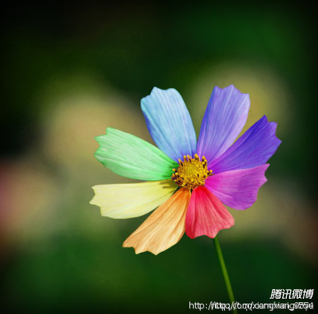 点击查看原图