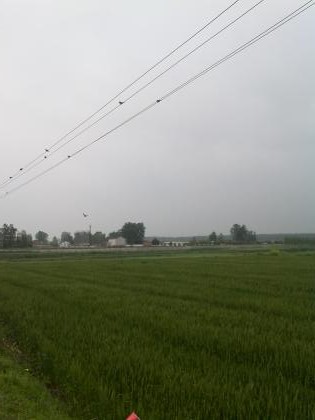 乡村好风景