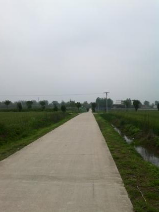 乡村好风景