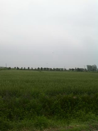 乡村好风景