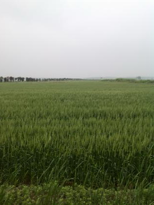 乡村好风景